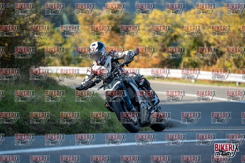 Passo della Futa E 11-10-25 h16-20 2388