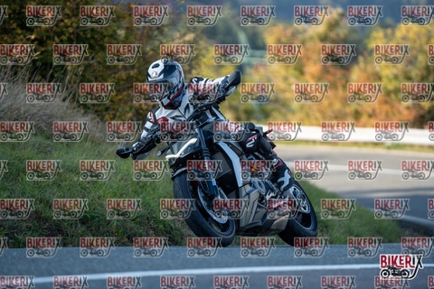 Passo della Futa E 11-10-25 h16-20 2390