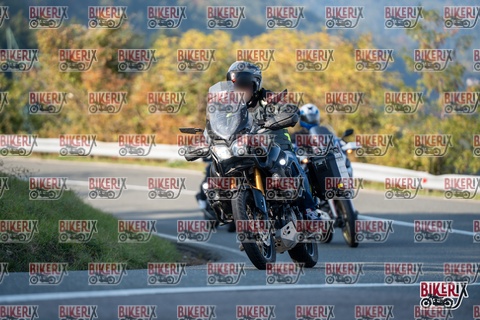 Passo della Futa E 11-10-25 h16-20 2392