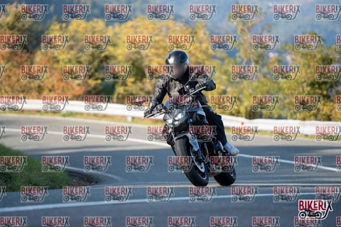 Passo della Futa E 11-10-25 h16-20 2397