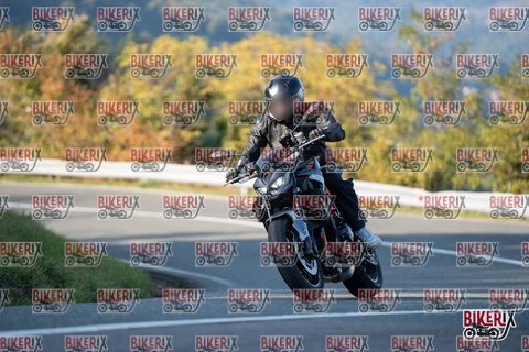 Passo della Futa E 11-10-25 h16-20 2398