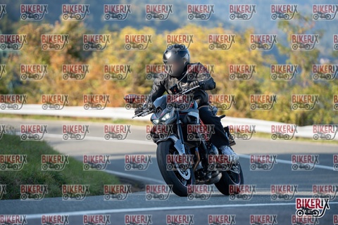 Passo della Futa E 11-10-25 h16-20 2399