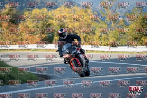 Passo della Futa E 11-10-25 h16-21 2407