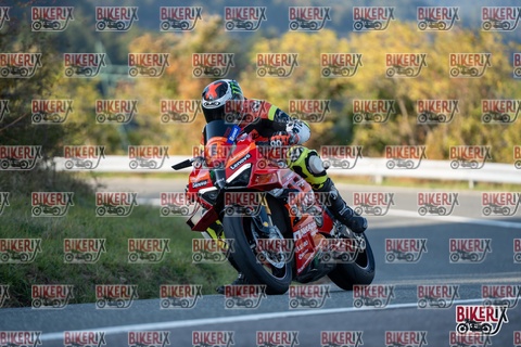 Passo della Futa E 11-10-25 h16-22 2410