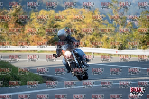 Passo della Futa E 11-10-25 h16-22 2412