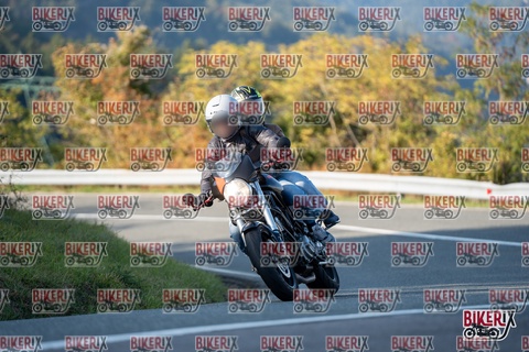 Passo della Futa E 11-10-25 h16-22 2414