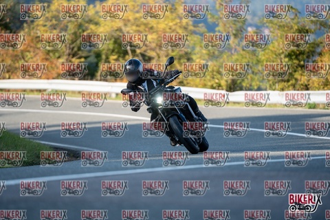 Passo della Futa E 11-10-25 h16-24 2437