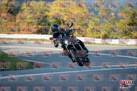 Passo della Futa E 11-10-25 h16-24 2438