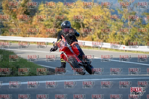 Passo della Futa E 11-10-25 h16-24 2446