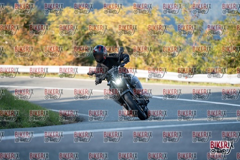 Passo della Futa E 11-10-25 h16-25 2450