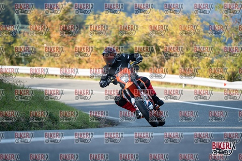 Passo della Futa E 11-10-25 h16-25 2452