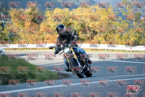 Passo della Futa E 11-10-25 h16-26 2456