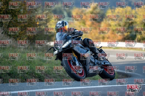 Passo della Futa E 11-10-25 h16-27 2461