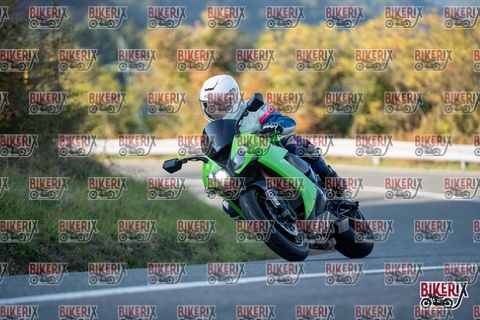 Passo della Futa E 11-10-25 h16-28 2464