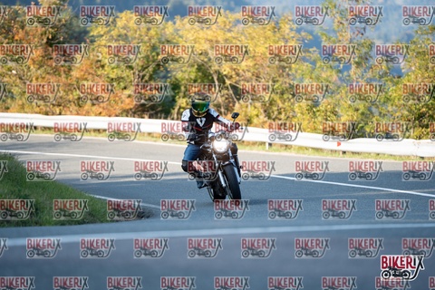 Passo della Futa E 11-10-25 h16-28 2465