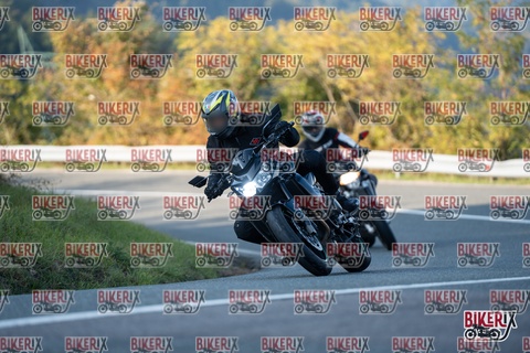 Passo della Futa E 11-10-25 h16-31 2482