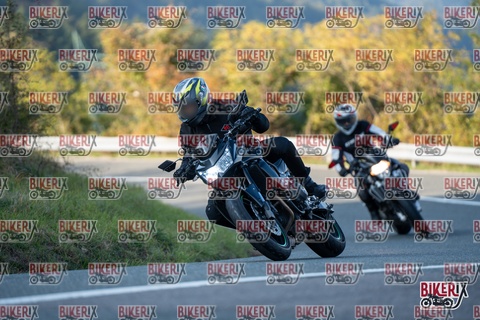 Passo della Futa E 11-10-25 h16-31 2483