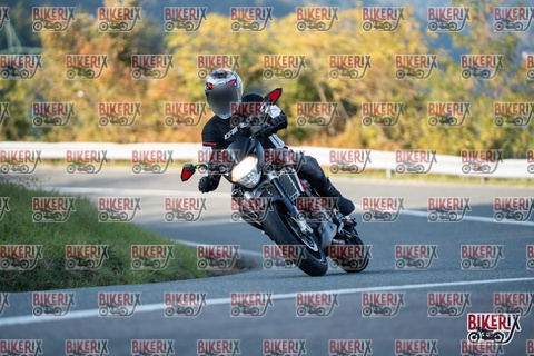 Passo della Futa E 11-10-25 h16-31 2484