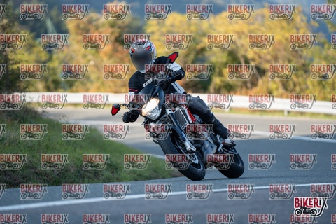 Passo della Futa E 11-10-25 h16-31 2485