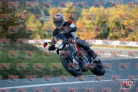 Passo della Futa E 11-10-25 h16-31 2486