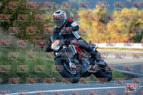 Passo della Futa E 11-10-25 h16-31 2487