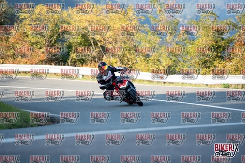 Passo della Futa E 11-10-25 h16-32 2488