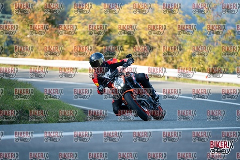 Passo della Futa E 11-10-25 h16-38 2502