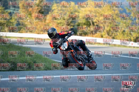 Passo della Futa E 11-10-25 h16-38 2503