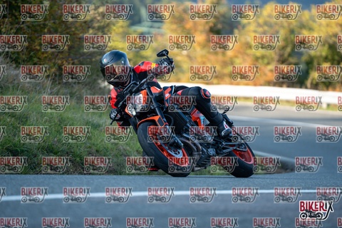 Passo della Futa E 11-10-25 h16-38 2504