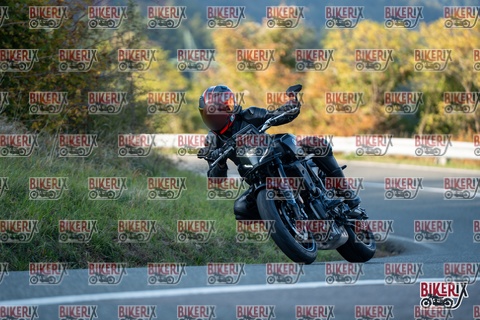 Passo della Futa E 11-10-25 h16-39 2506