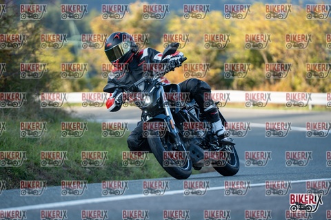 Passo della Futa E 11-10-25 h16-39 2513