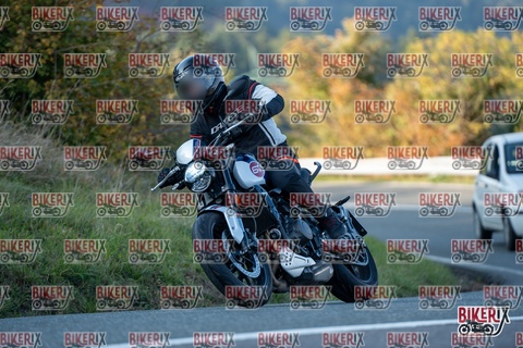 Passo della Futa E 11-10-25 h16-39 2517