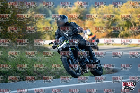 Passo della Futa E 11-10-25 h16-39 2521