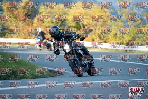 Passo della Futa E 11-10-25 h16-43 2531