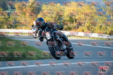 Passo della Futa E 11-10-25 h16-43 2532