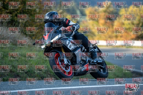 Passo della Futa E 11-10-25 h16-44 2538