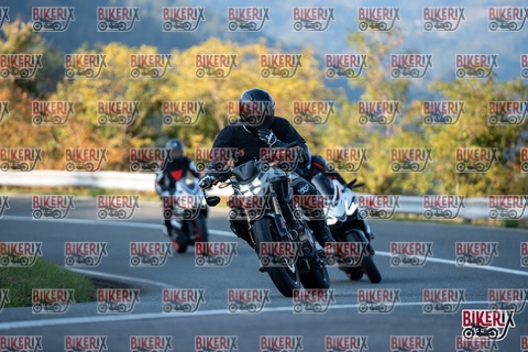 Passo della Futa E 11-10-25 h16-45 2539