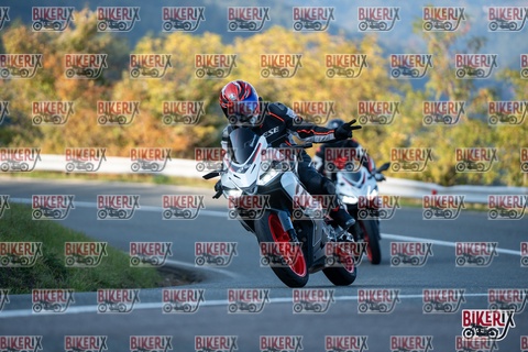 Passo della Futa E 11-10-25 h16-45 2540