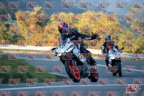 Passo della Futa E 11-10-25 h16-45 2541