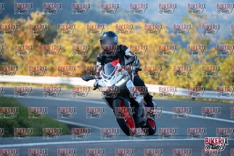 Passo della Futa E 11-10-25 h16-45 2542