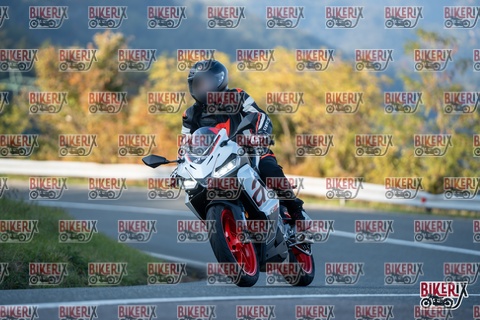 Passo della Futa E 11-10-25 h16-45 2543