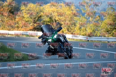 Passo della Futa E 11-10-25 h16-46 2544