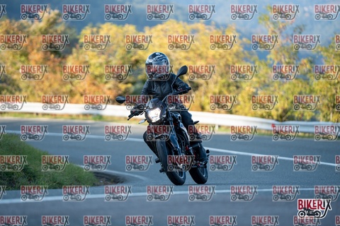 Passo della Futa E 11-10-25 h16-46 2549