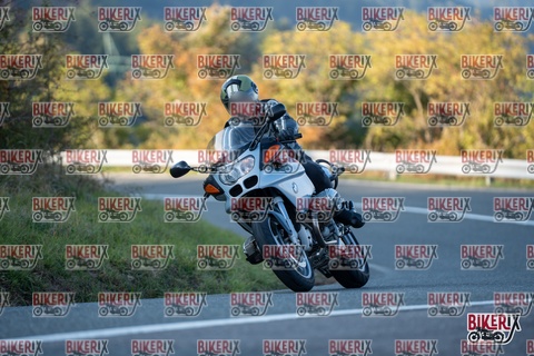 Passo della Futa E 11-10-25 h16-49 2558