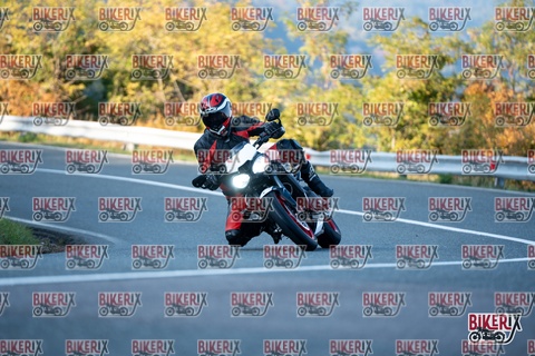 Passo della Futa E 11-10-25 h16-49 2561