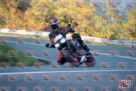 Passo della Futa E 11-10-25 h16-49 2563