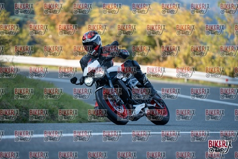 Passo della Futa E 11-10-25 h16-49 2564