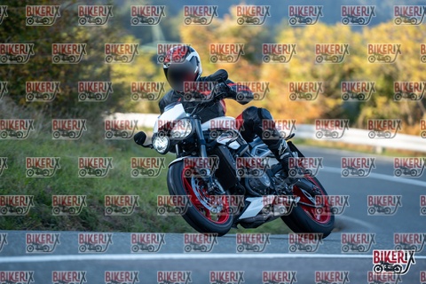 Passo della Futa E 11-10-25 h16-49 2565