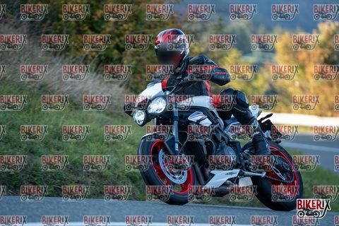 Passo della Futa E 11-10-25 h16-49 2566