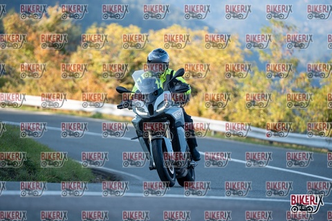 Passo della Futa E 11-10-25 h16-51 2574